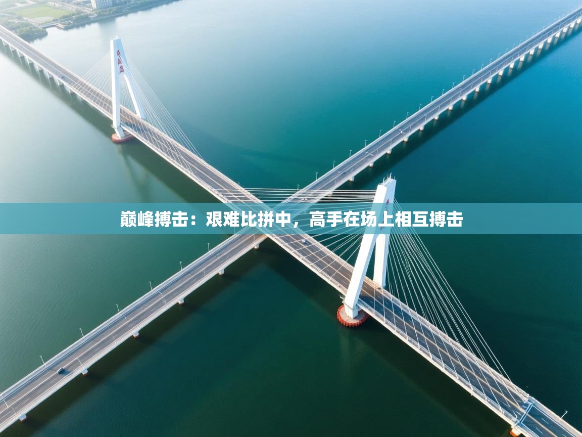 巅峰搏击：艰难比拼中，高手在场上相互搏击  第1张