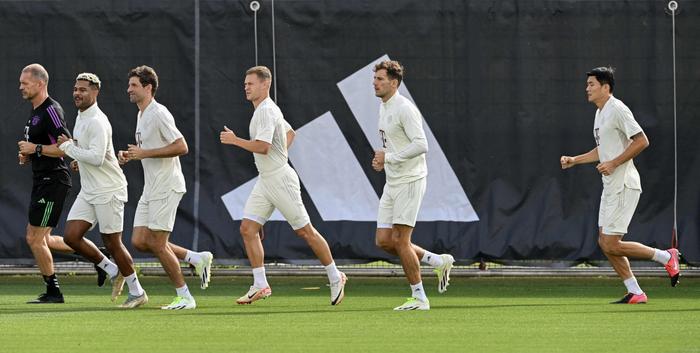 拜仁慕尼黑队备战欧冠，战术训练密集展开的简单介绍